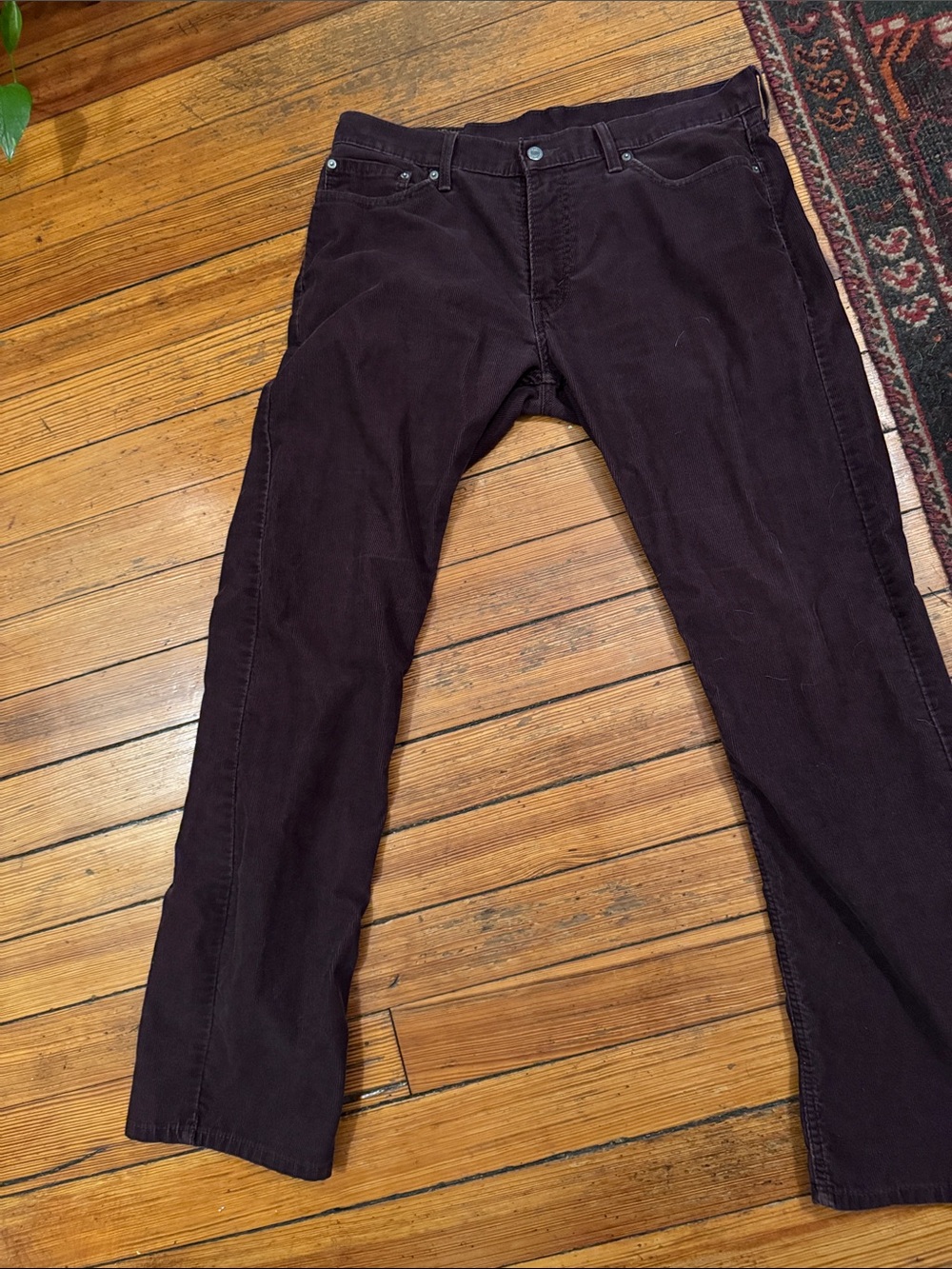 Levi's Men's Dark Chocolate Corduroy Pants